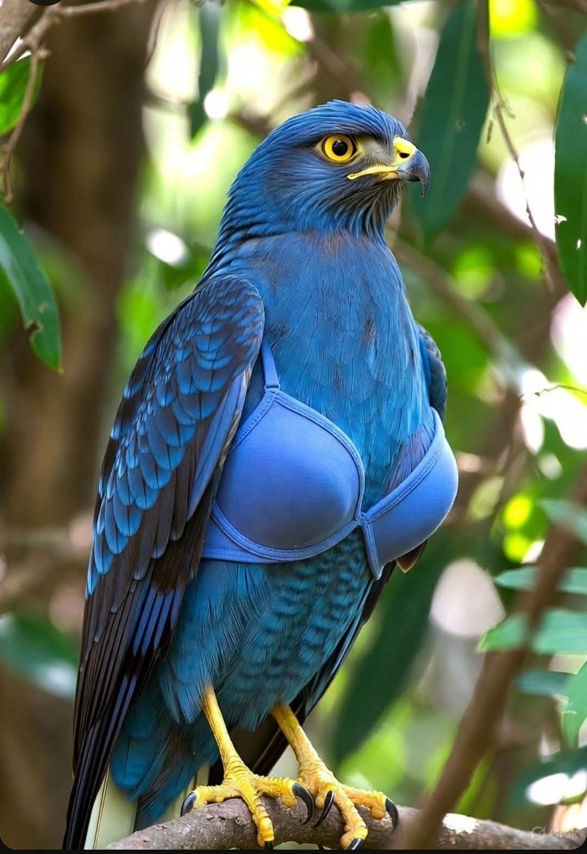 ZIDDI LADKA tweet media