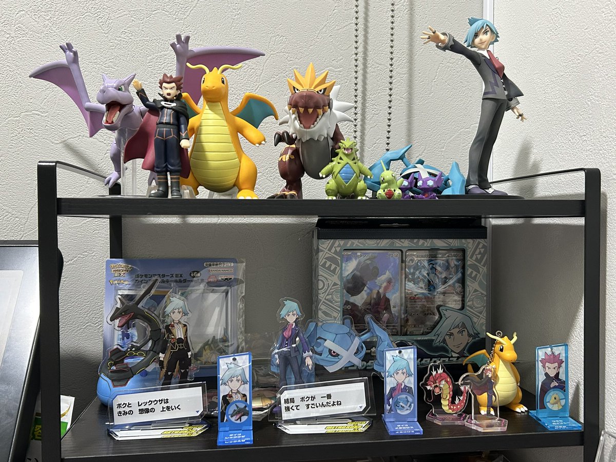 ポケモンプラモ飾ったらワタルとダイゴコーナーが潤ってきたよ