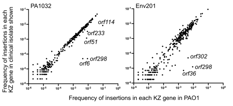 Joe Bondy-Denomy tweet media