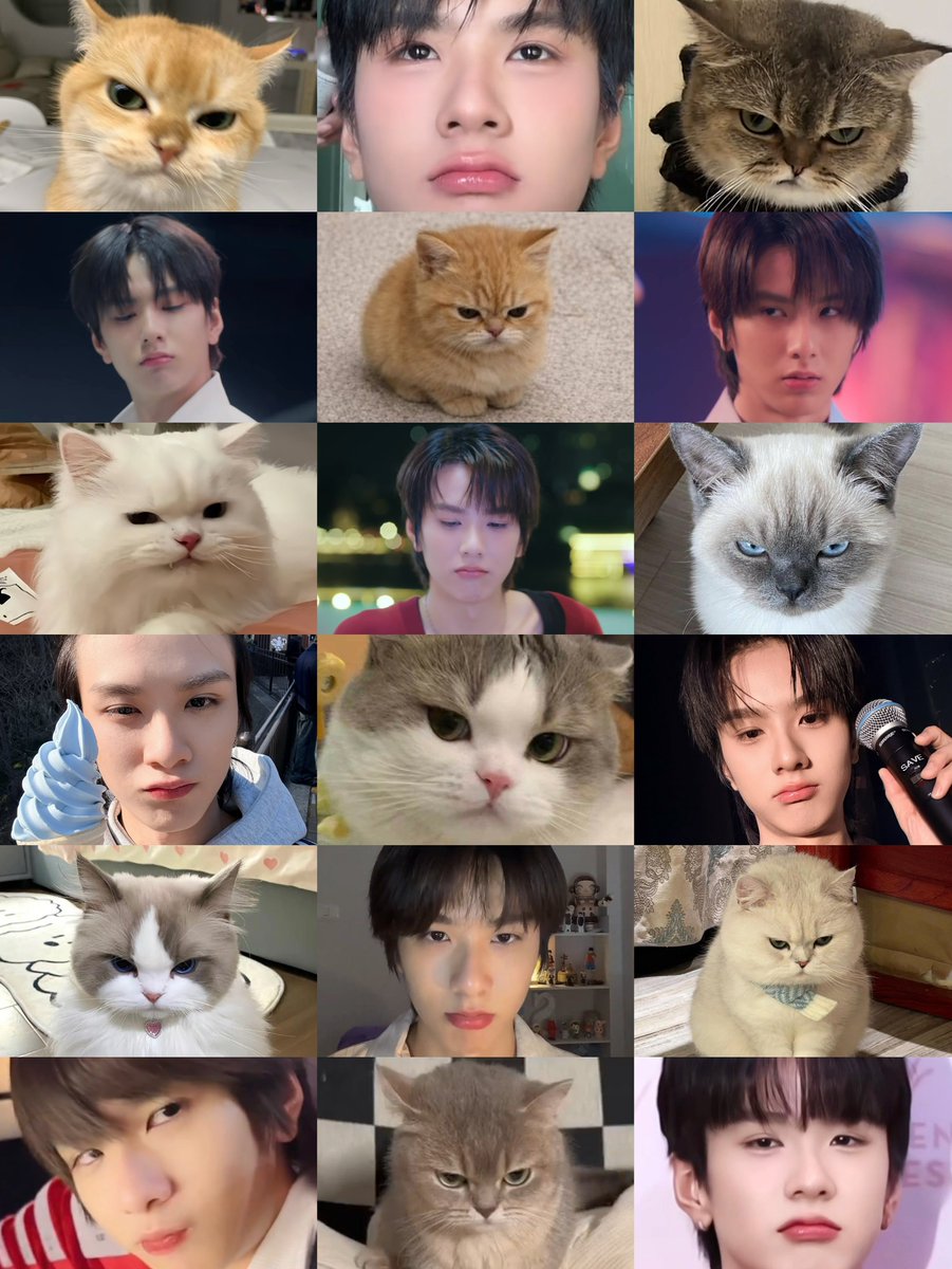 คนอะไยหน้าเหมือนแมววีนทุกตุวบนโลก >(😾)<

— #savewrg  ｡ˆ⸝⸝. ݂ .⸝⸝ˆ𓈒ׁ♡