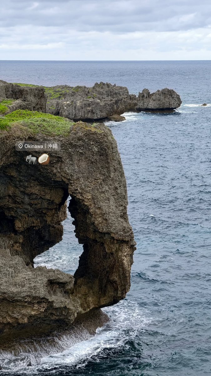 NampingsterLand tweet media