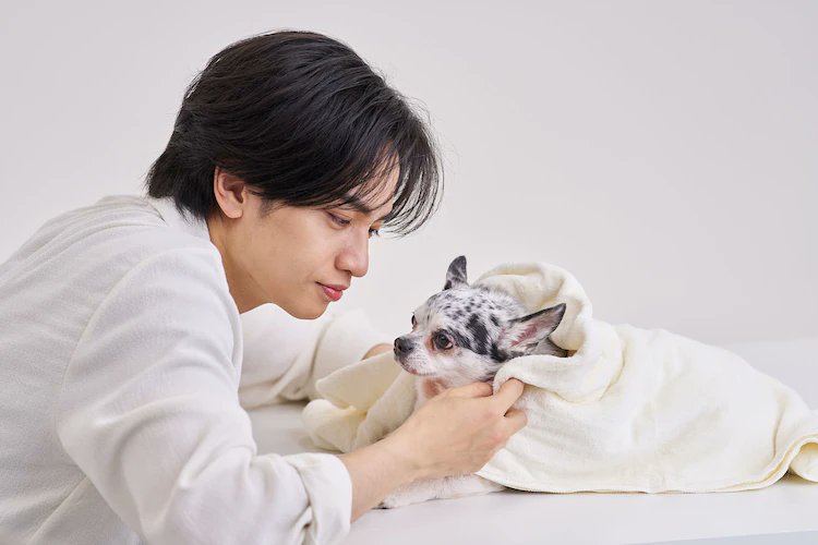 NANTE JAPAN tweet media