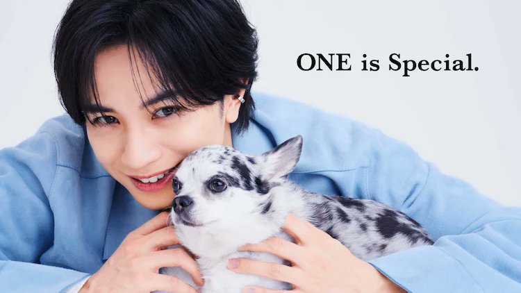 NANTE JAPAN tweet media