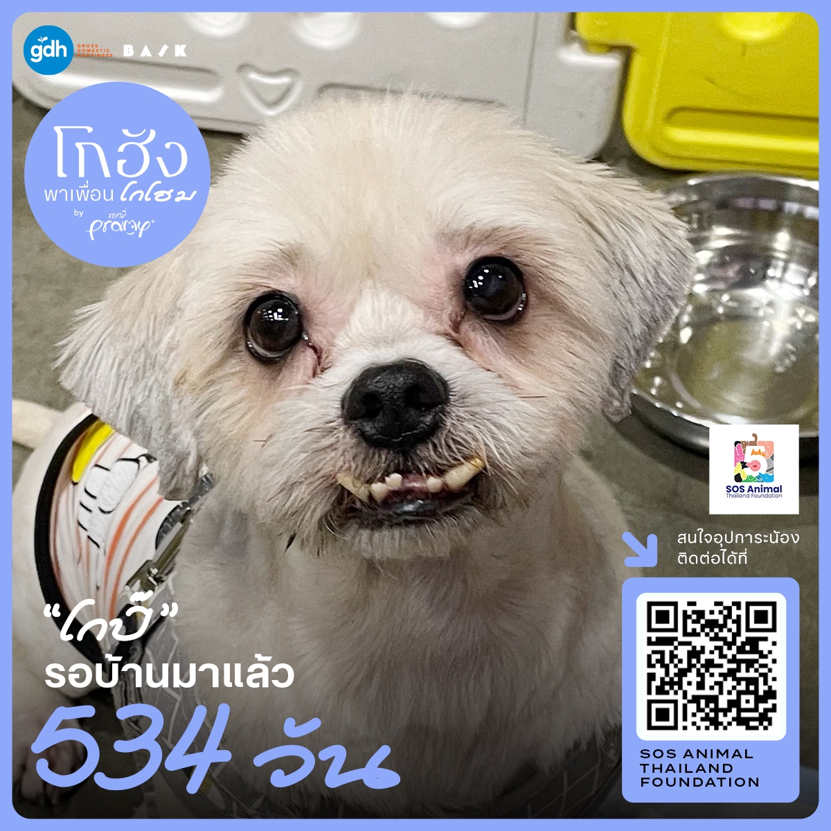 GDH tweet media