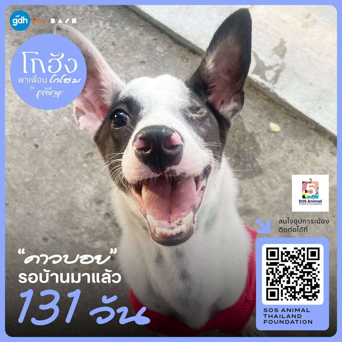 GDH tweet media