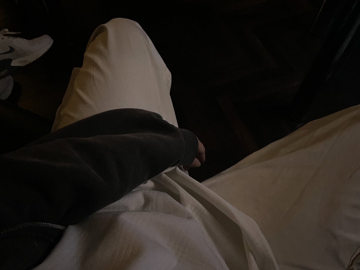 のらねこ tweet media