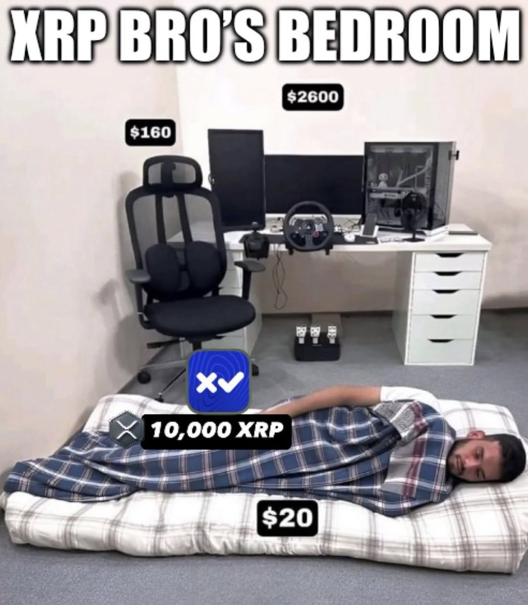 Chloe the XRP shiller 💙 tweet media