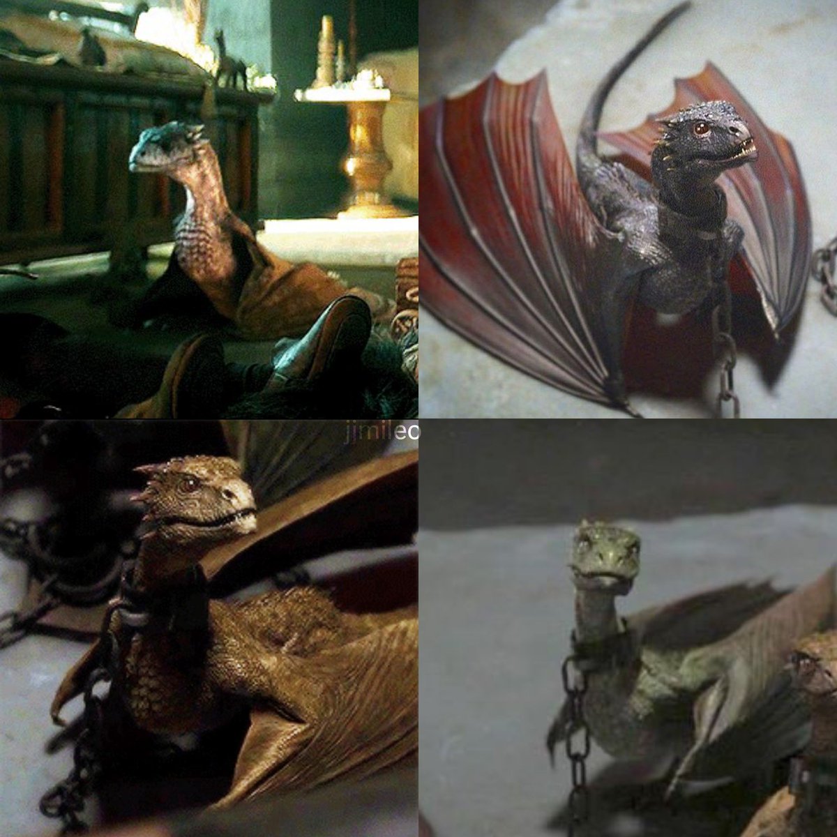 baby dragons are so cute 🥹🤏