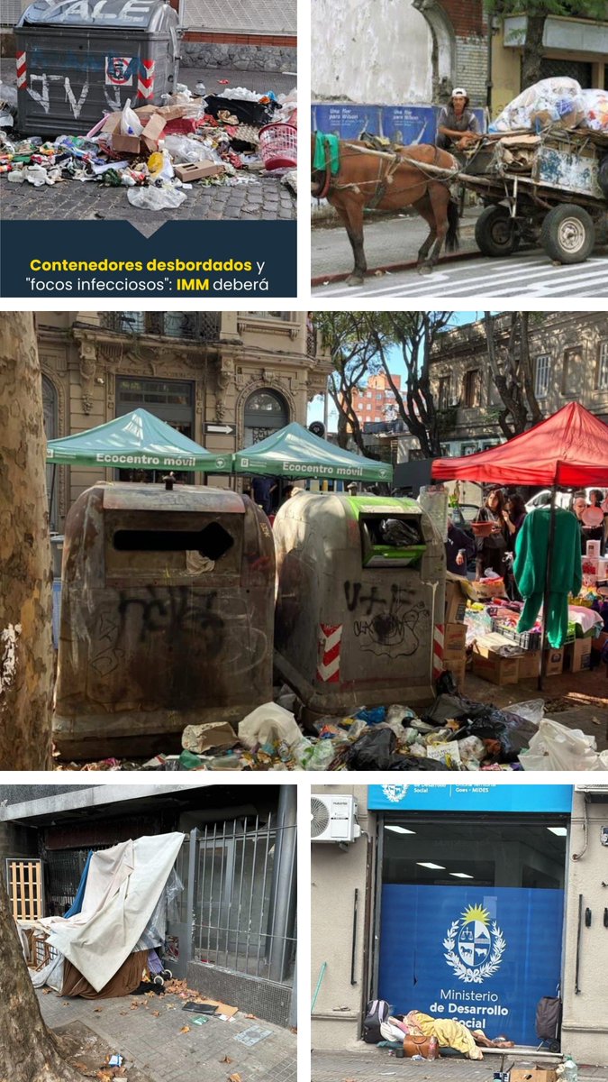 Rosario López tweet media