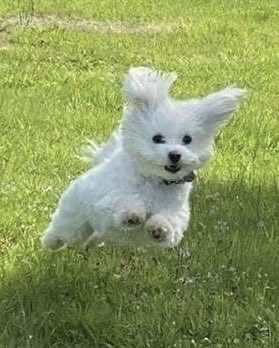 유유𖤐 tweet media