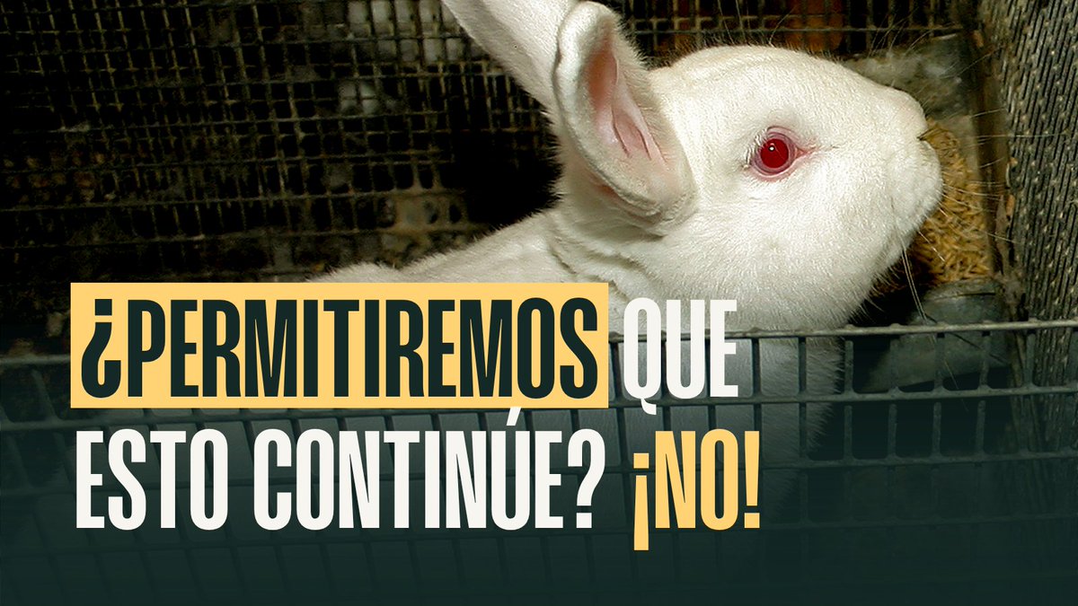 Arba Perú tweet media
