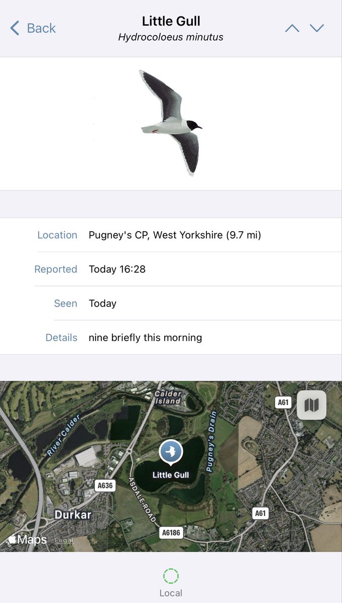 JA_BRX's tweet photo. Big fan of the @BirdGuides app, helpful and insightful, but some of the sightings are beyond anything other than a waste of everyone’s time. If they aren’t pertinent and timely, what’s the fucking point? What am I paying for? At 1628 - ‘nine briefly this morning’. Wtf. And why? https://t.co/dS4yicID4c