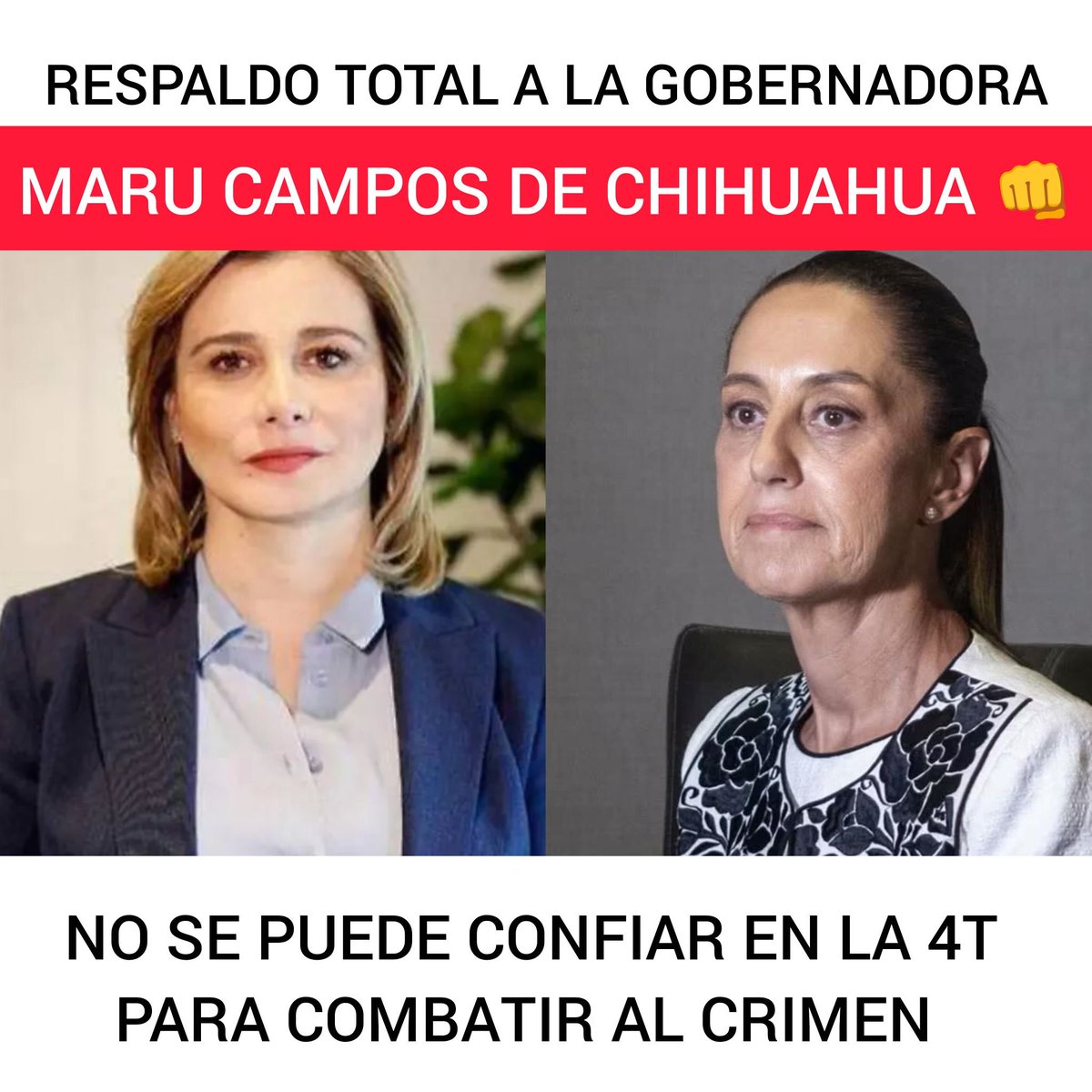 Padre Santo tweet media