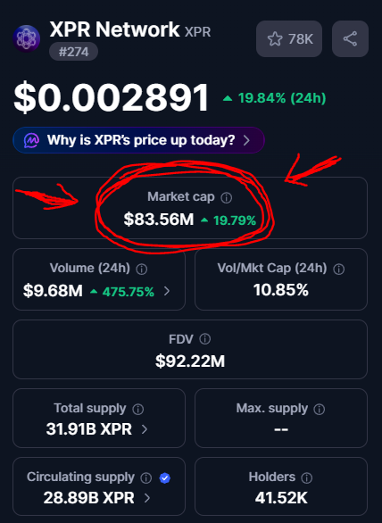 Echo 𝕏 tweet media