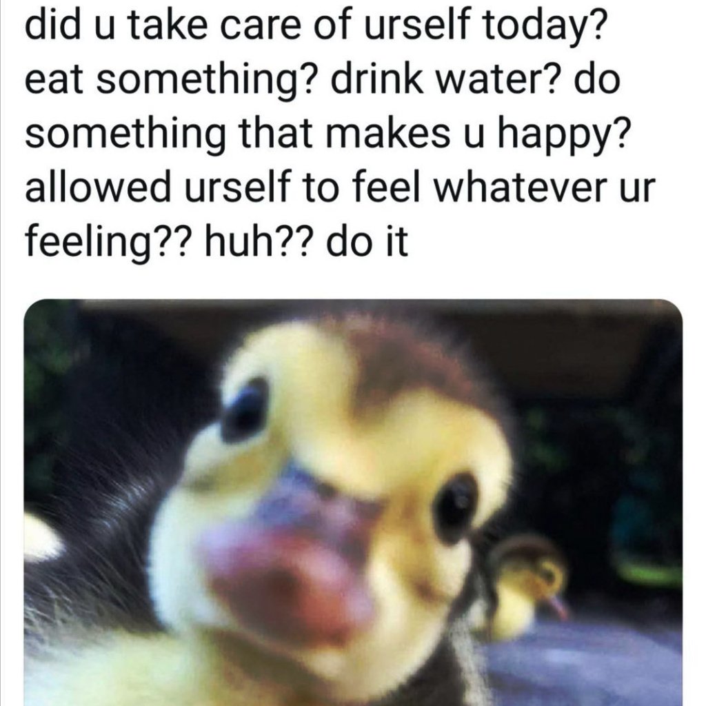 ❤Mindfulness tweet media