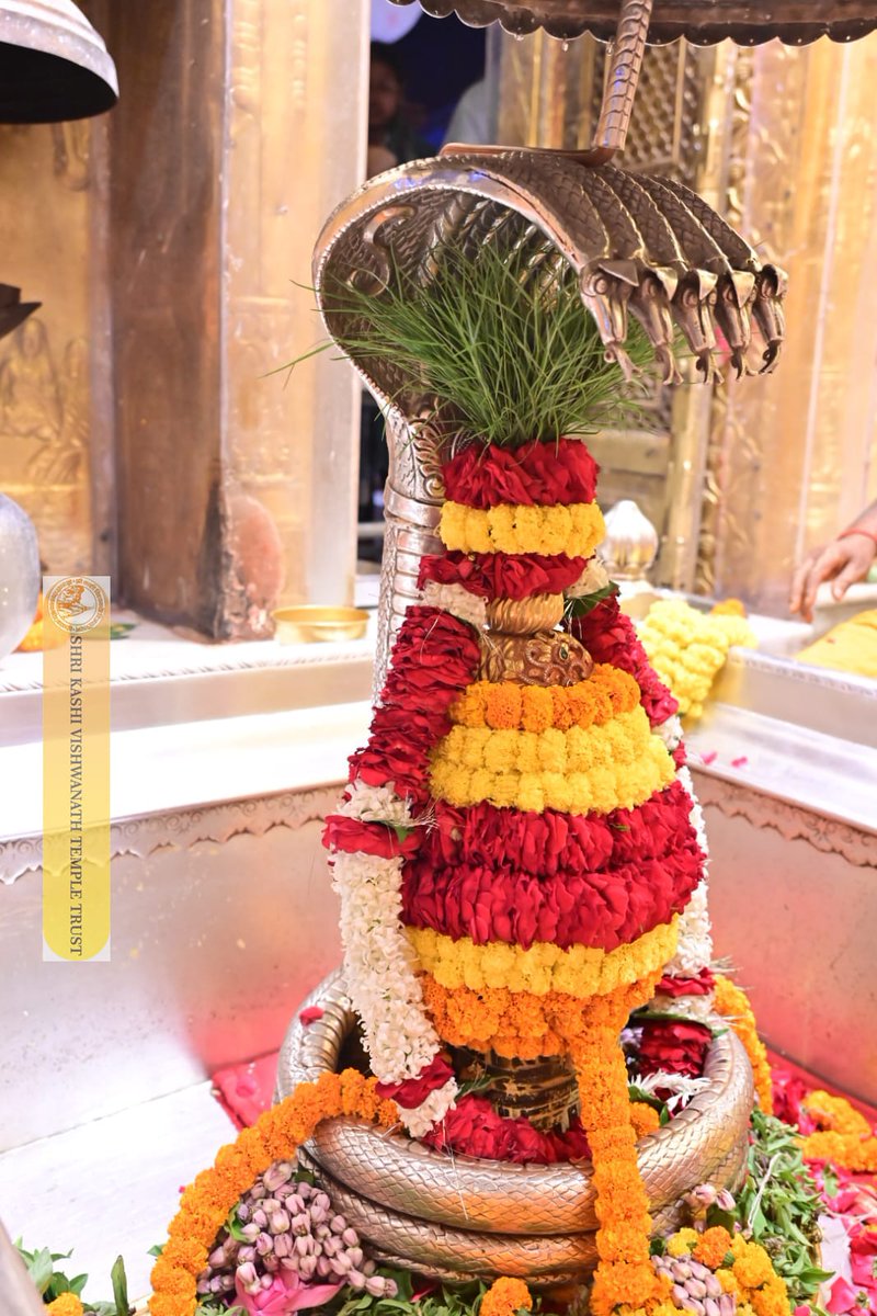 Shri Kashi Vishwanath Temple Trust tweet media