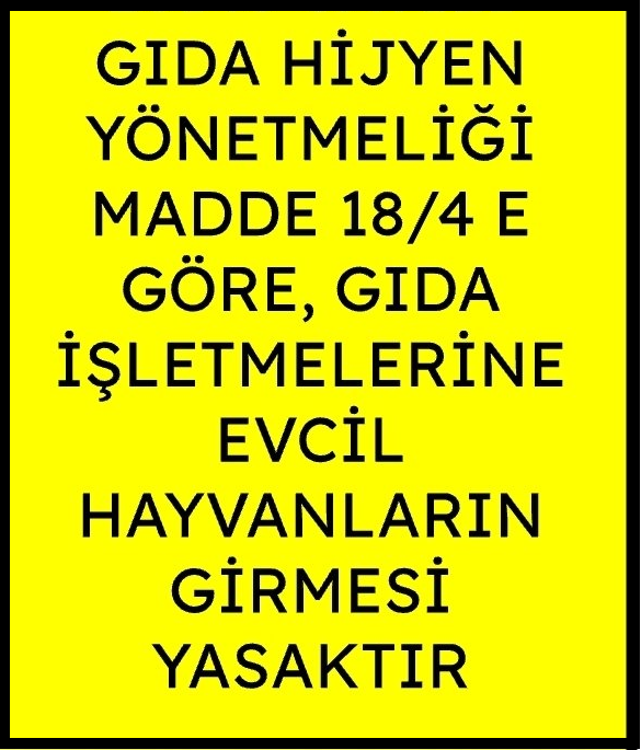 VB tweet media