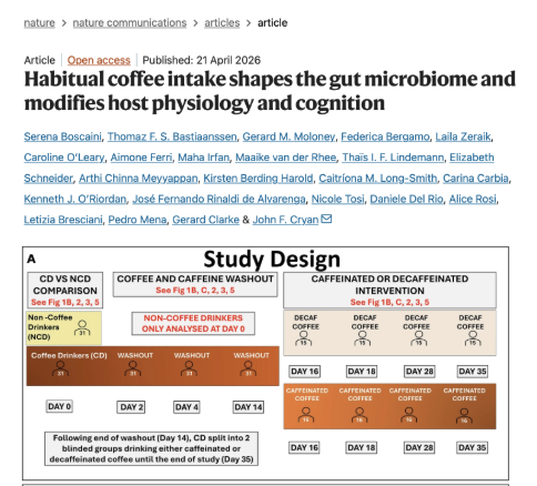 Bryan Johnson tweet media