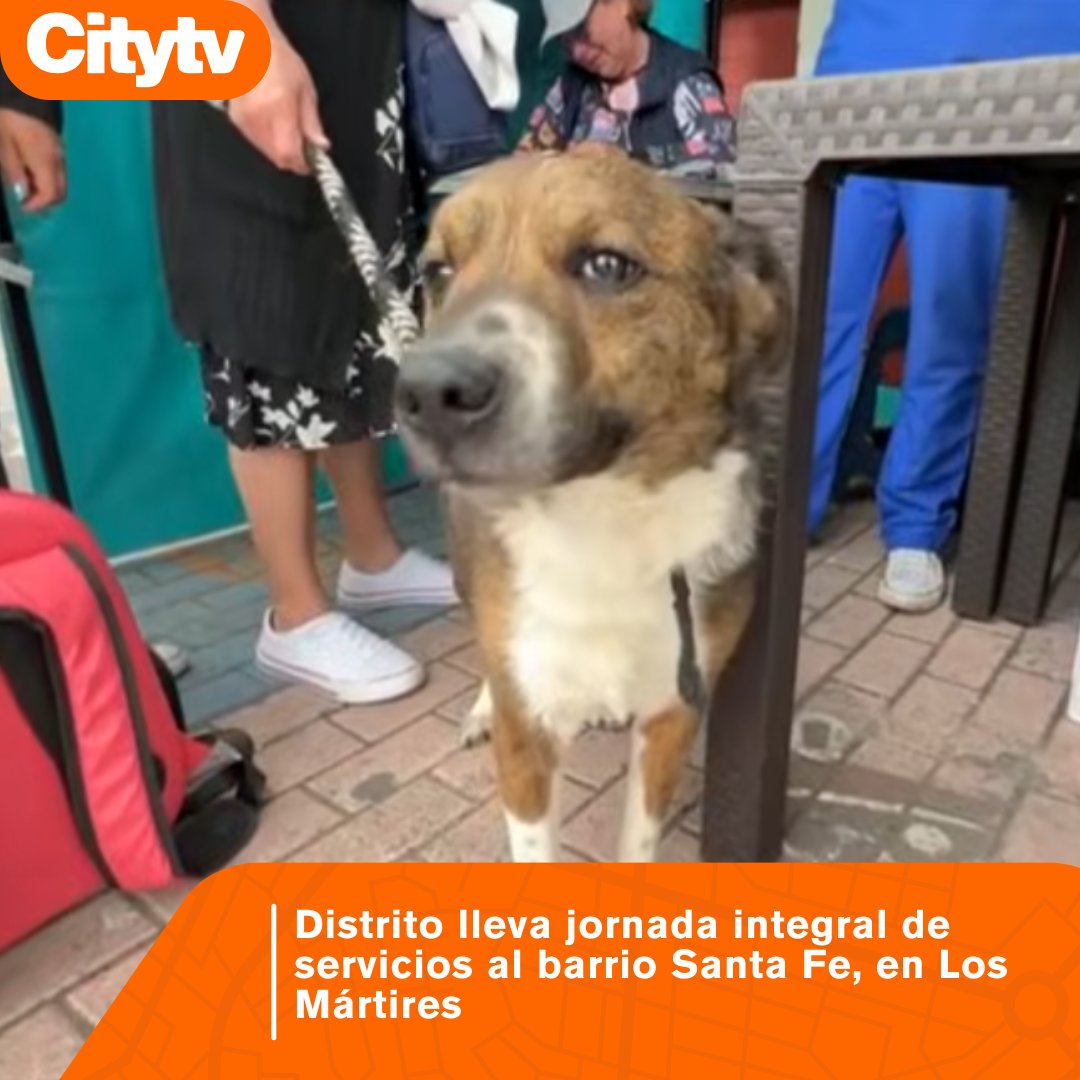 Citytv's tweet image. #Noticias | La jornada  incluye apoyo a migrantes, vacunación para mascotas y oferta institucional. Noticia completa aquí 👇
citytv.eltiempo.com/fotos-y-videos…