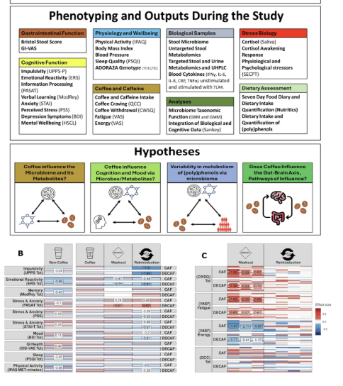 Bryan Johnson tweet media