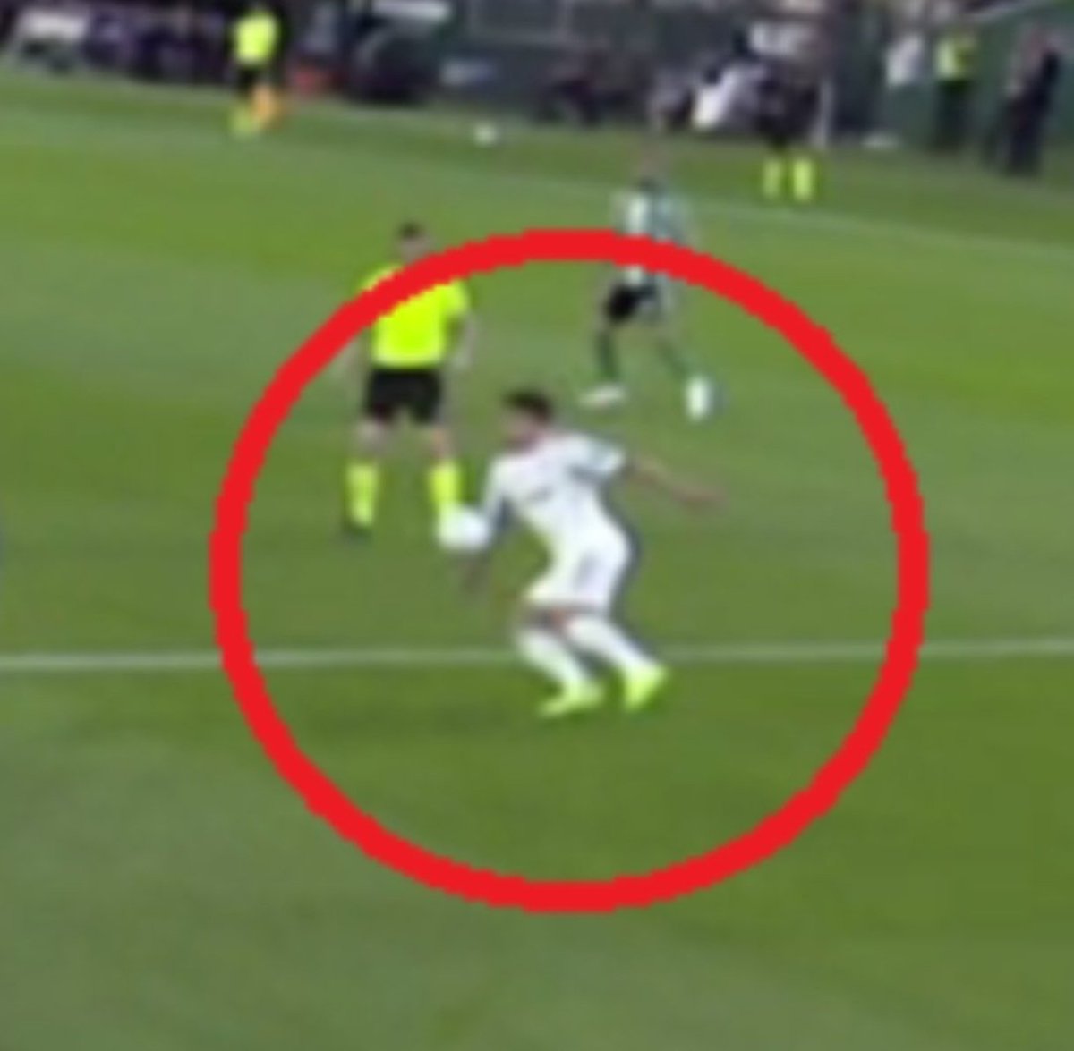 Rex Dasher tweet media