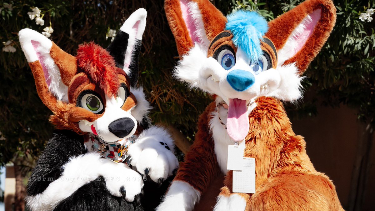 Bodie ! 🔜 FWA tweet media