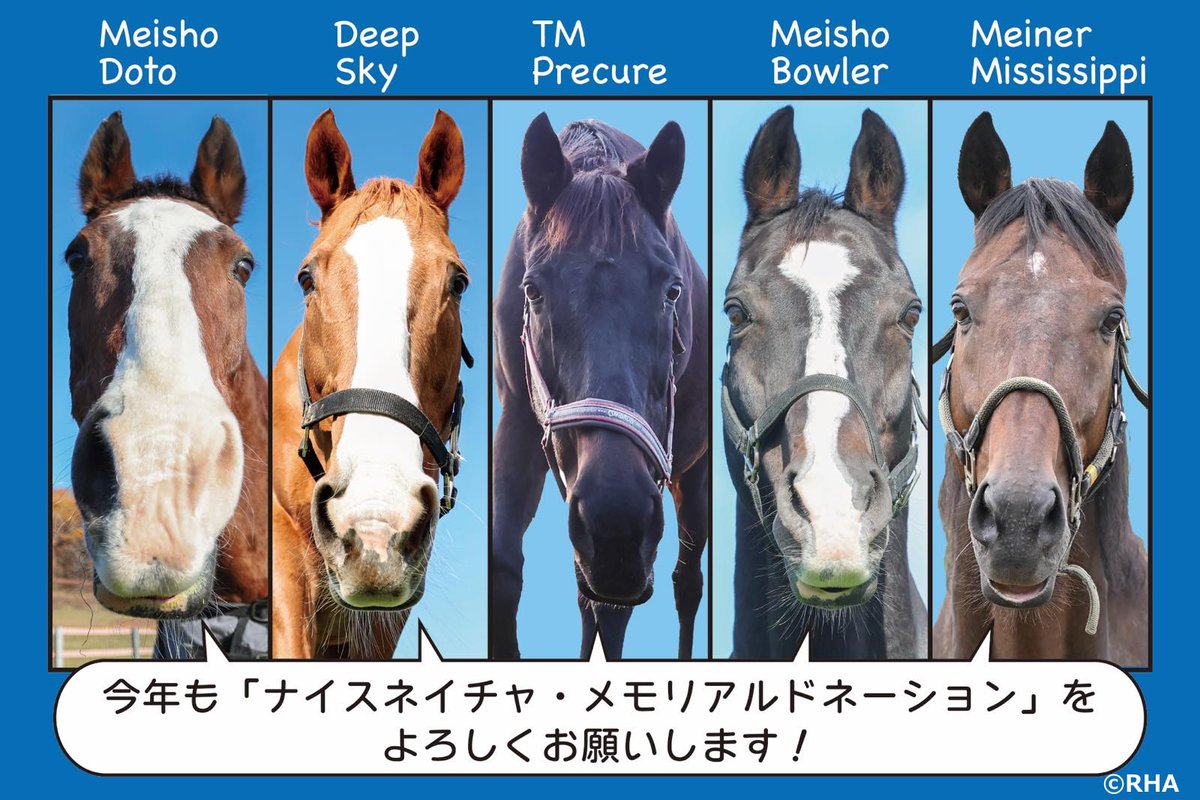 認定NPO法人引退馬協会／The Retired Horse Association tweet media