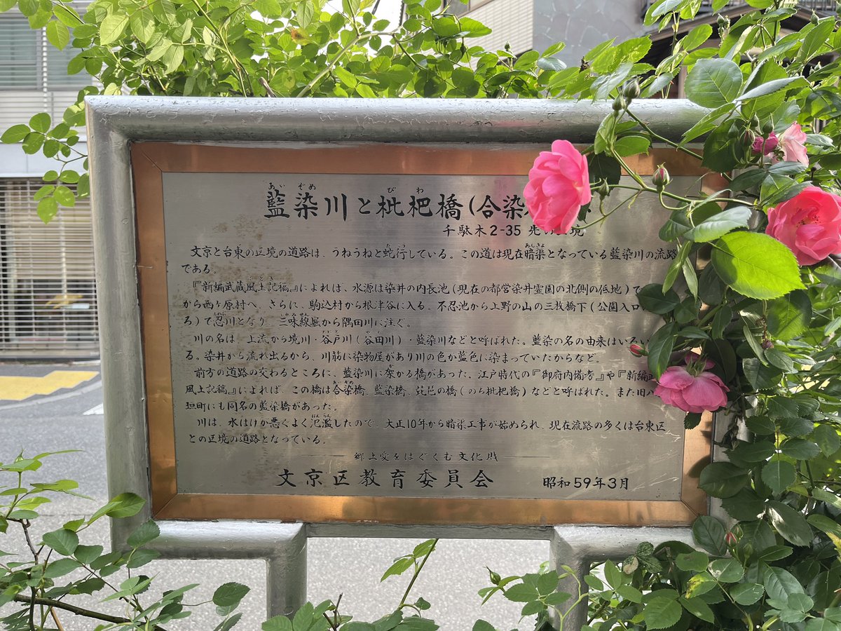 千駄木二丁目西町会(中の人たち) tweet media