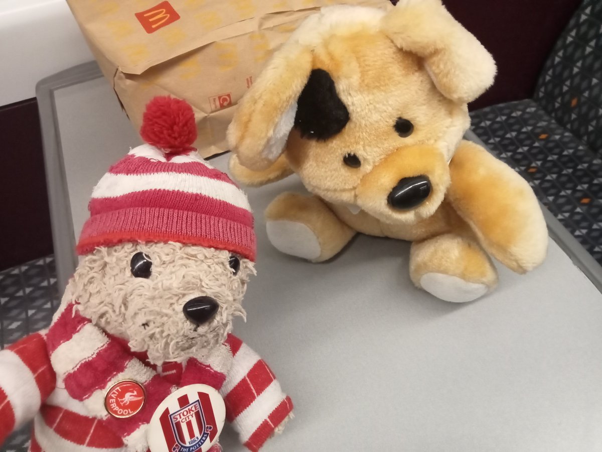 Hanley Bear ⚽️ tweet media