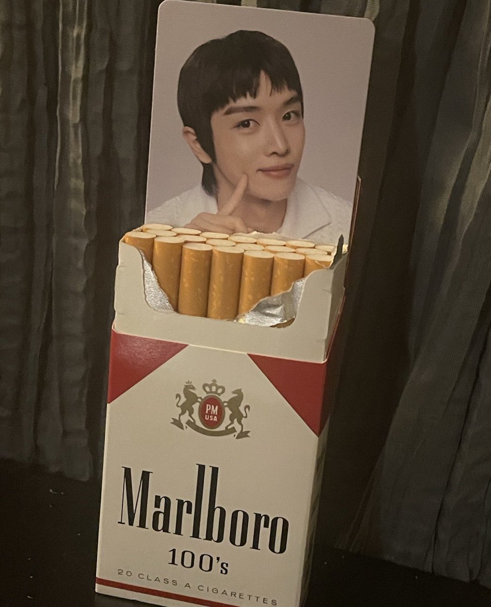 polar bear tweet media