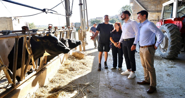 Gozo News tweet media