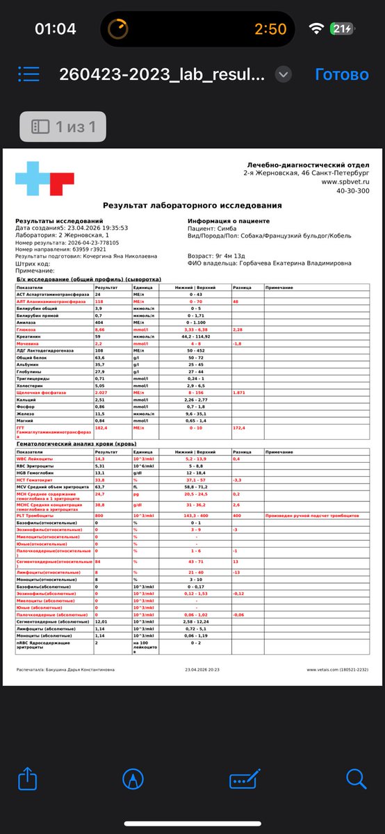 Очень стрёмно видеть столько красных полей в анализах собаки🥲
