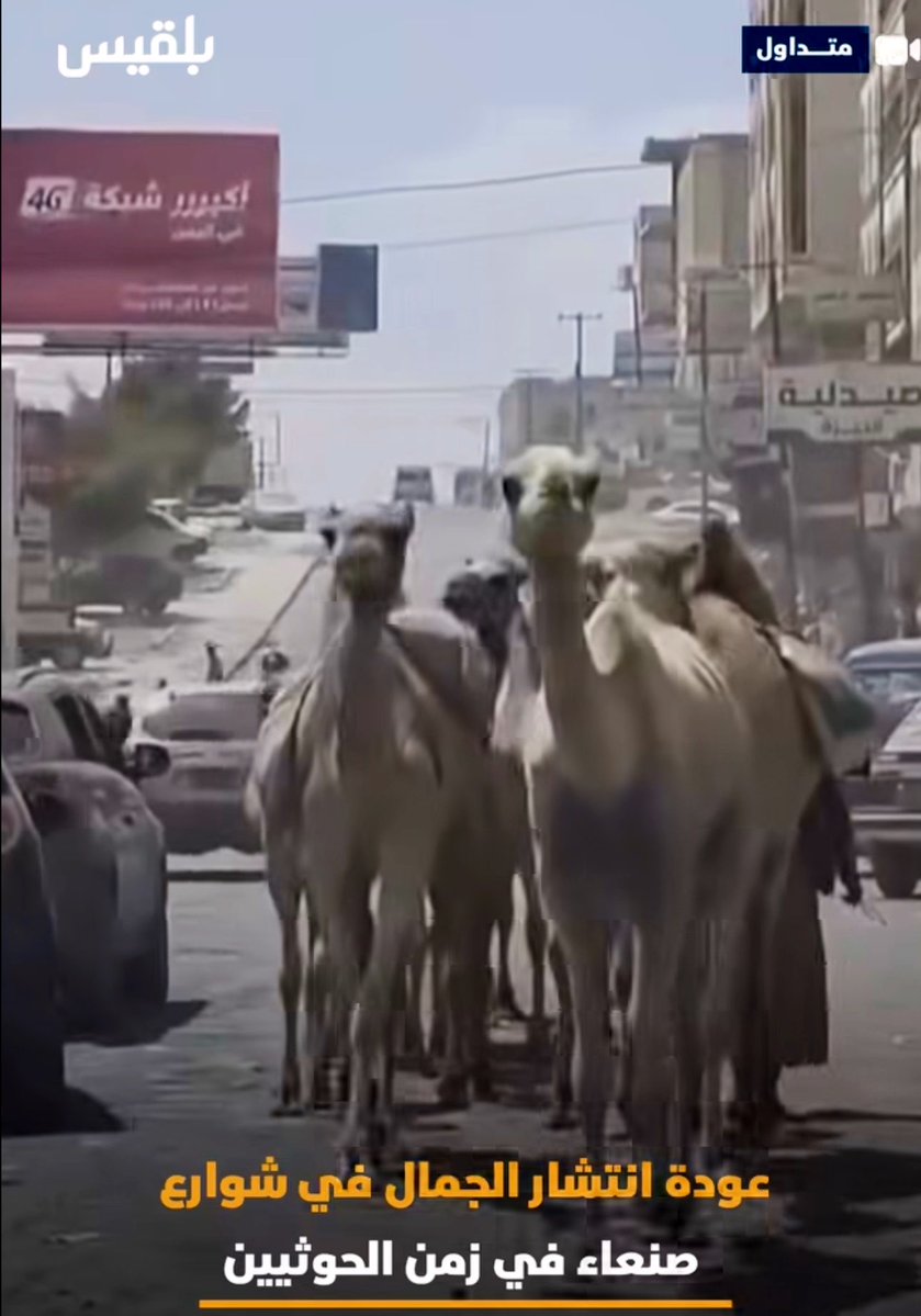 بين اموه عرفتوني tweet media