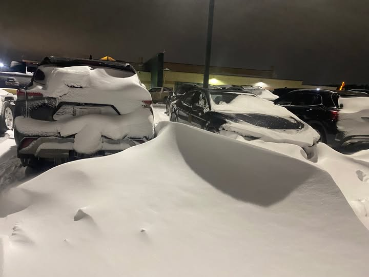 Martyupnorth®- Unacceptable Fact Checker tweet media