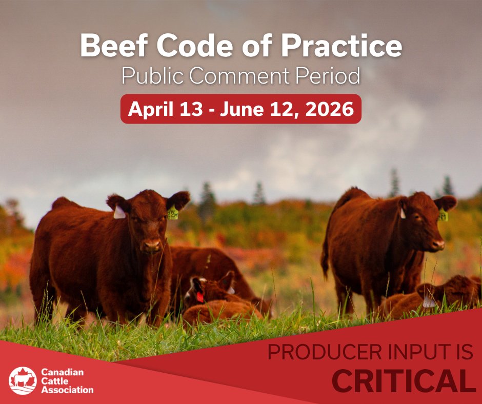 FoothillsForage's tweet photo. Beef Code of Practice – Public Comment Period Now Open!

The Public Comment Period for the draft Beef Cattle Code of Practice is open until June 12, and producer input is a key part of the process.

To participate, visit https://t.co/n276m51b8C https://t.co/3z4jzwjVBT