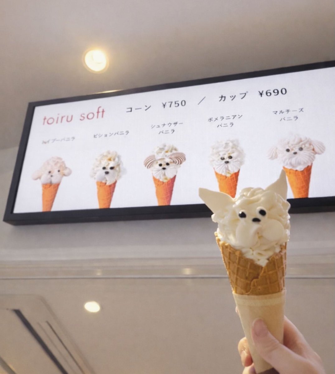 Elle Lookbook tweet media