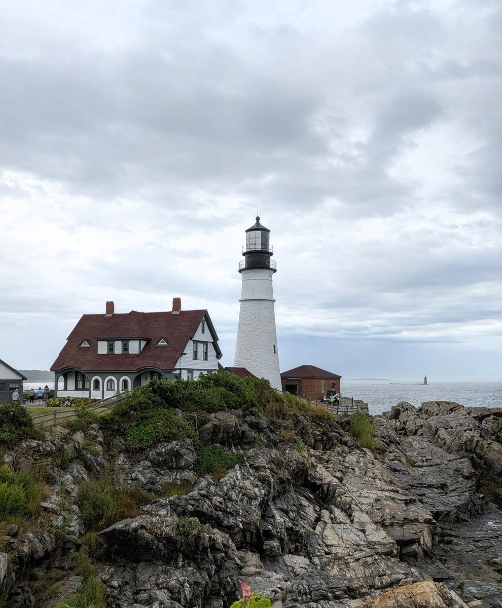 The New England Populist tweet media