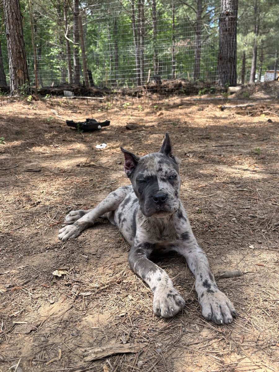 Bruce Ray tweet media