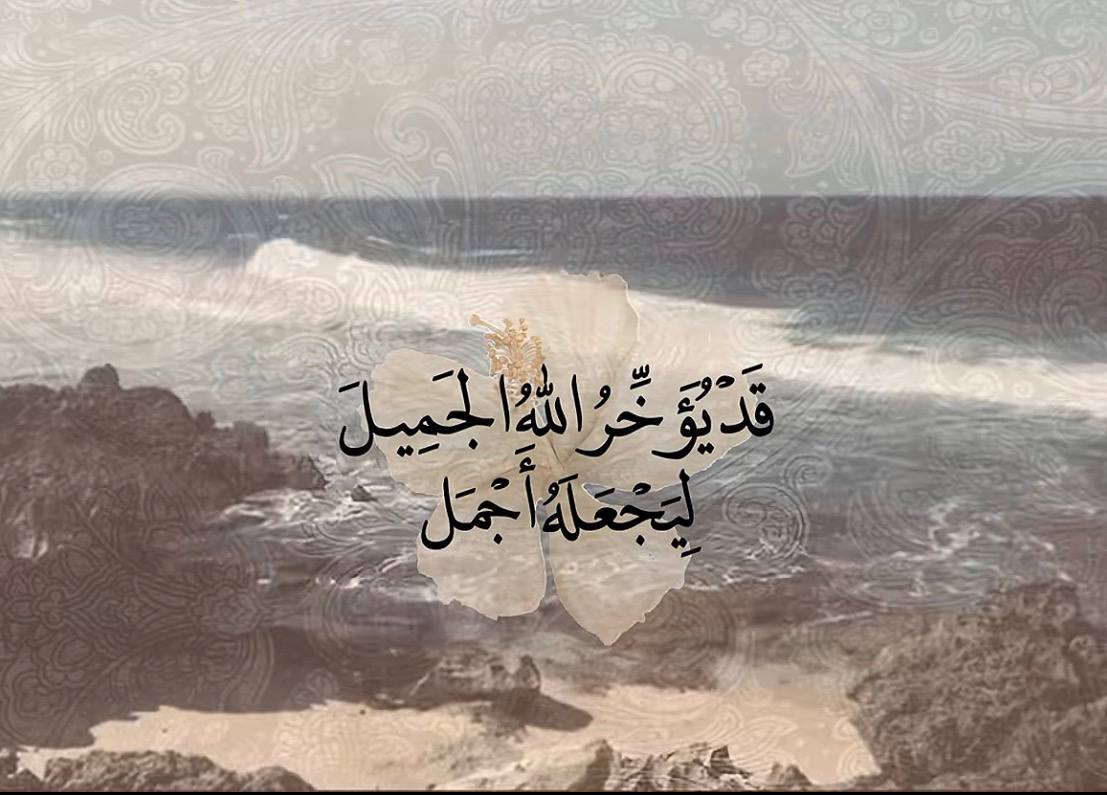 ★ tweet media