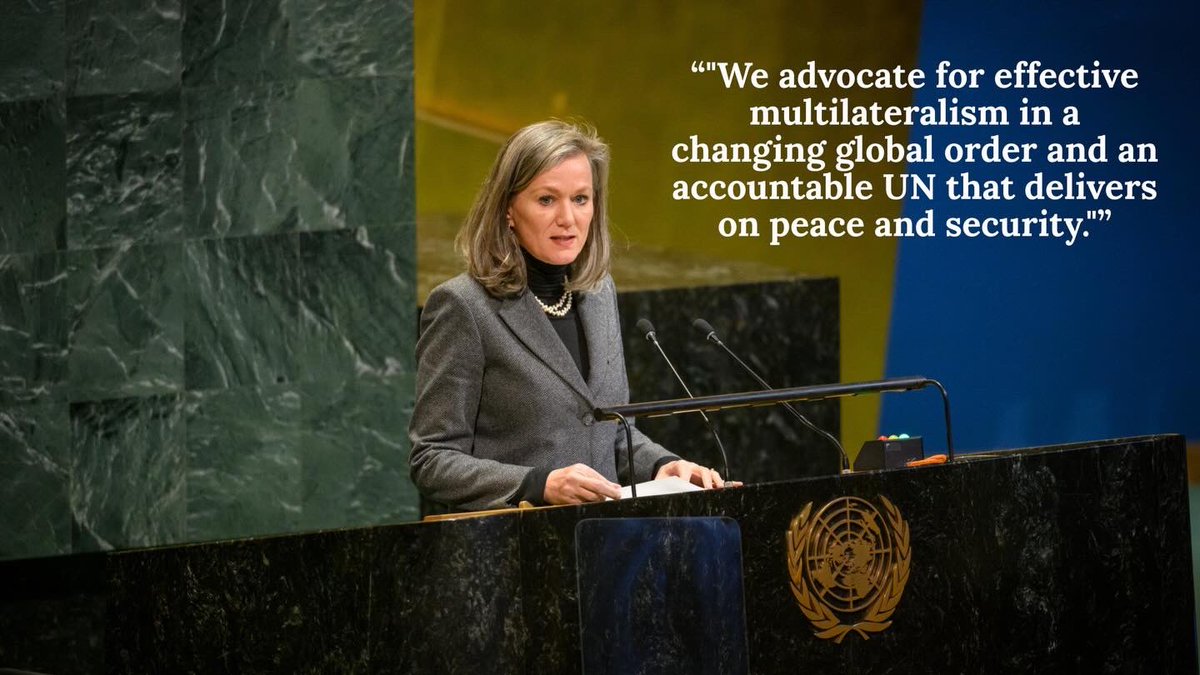 KingdomNL at UN tweet media