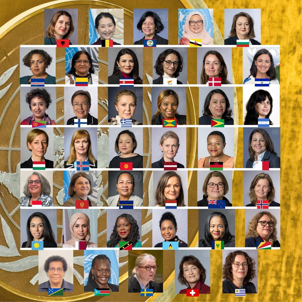 KingdomNL at UN tweet media