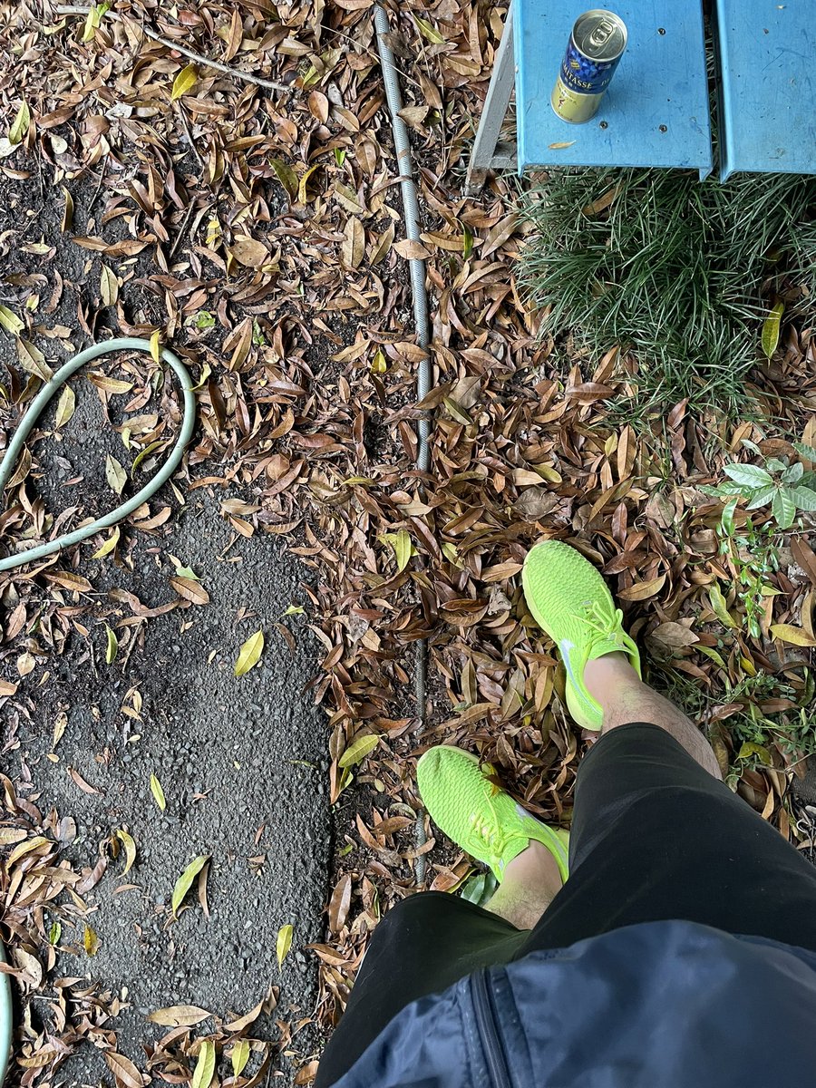 Nのリスニンガー・CK tweet media