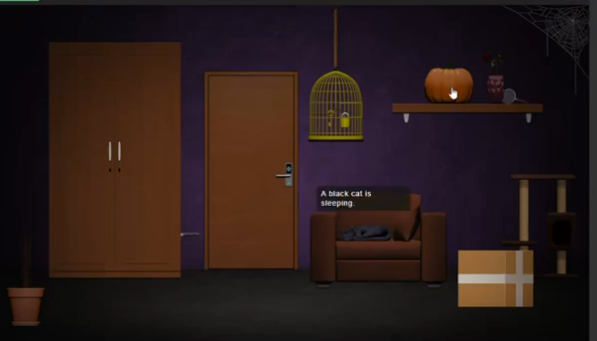 Insolite41 tweet media