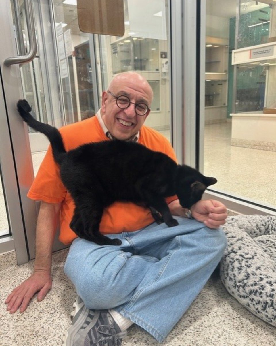 ASPCA tweet media