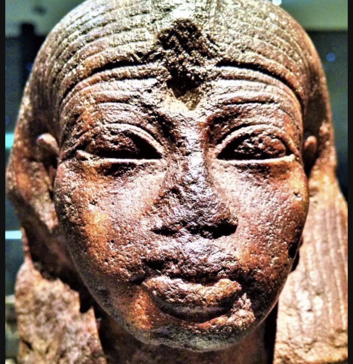 Derpas Jenkens tweet media