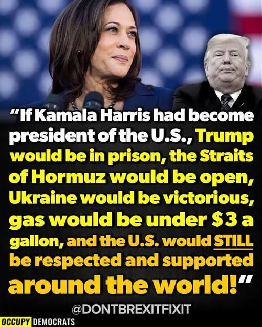 Tom Stark tweet media