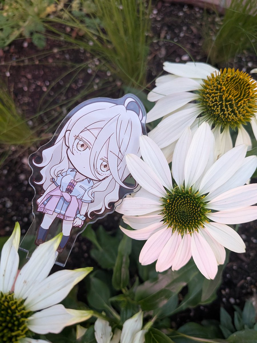 とくじぃ（マレーちゃん） tweet media