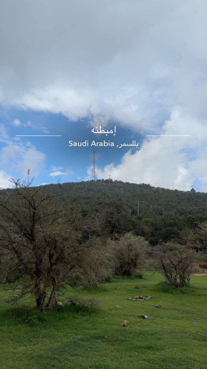 بَشفايز tweet media