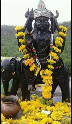 Pooja Tiwari tweet media