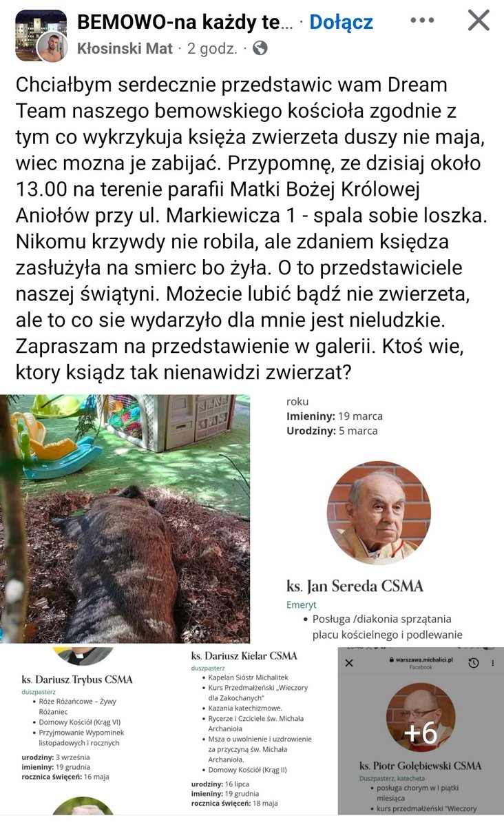 Natalia Wiśniewska tweet media